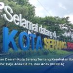 Peraturan Daerah Kota Serang Tentang Kesehatan Ibu, Bayi, dan Anak 2
