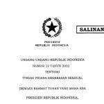 undang - undang tindak pidana kekerasan seksual