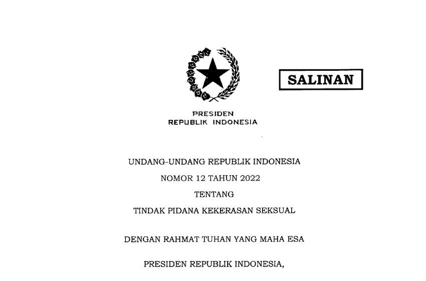 undang - undang tindak pidana kekerasan seksual
