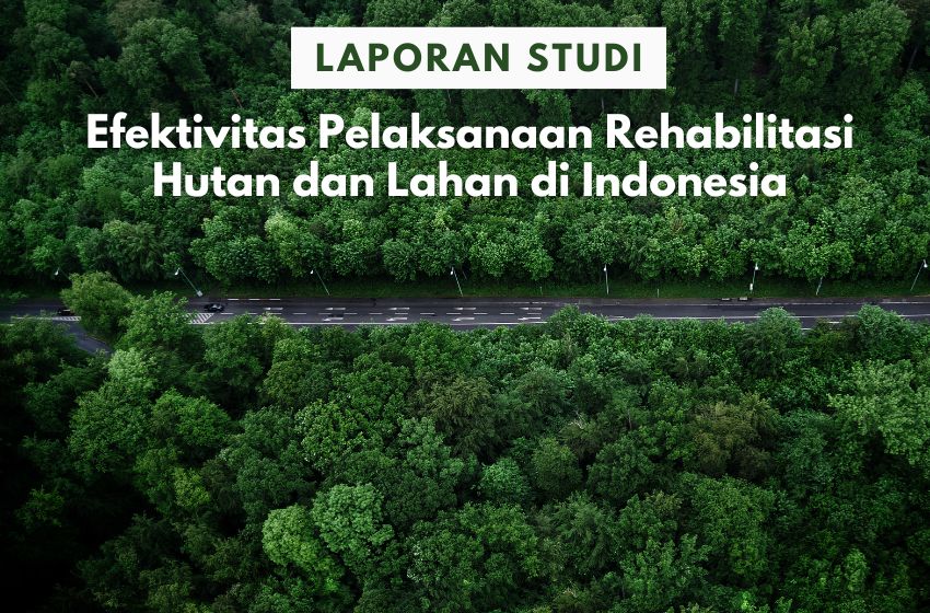 Rehabilitasi Hutan